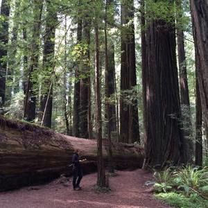 Meet your Posher, Betsye